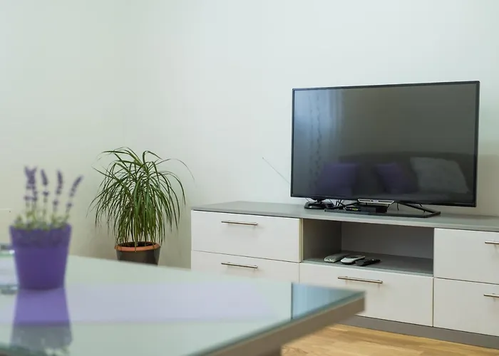 Too Sweet Apartment 1